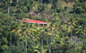 Mango Lodge Villa
